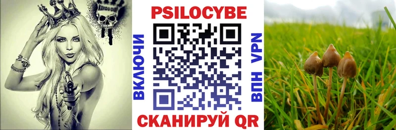 Псилоцибиновые грибы мицелий  купить наркотики сайты  Горбатов 